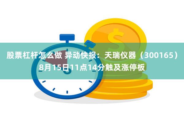 股票杠杆怎么做 异动快报：天瑞仪器（300165）8月15日