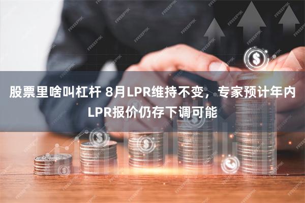 股票里啥叫杠杆 8月LPR维持不变，专家预计年内LPR报价仍