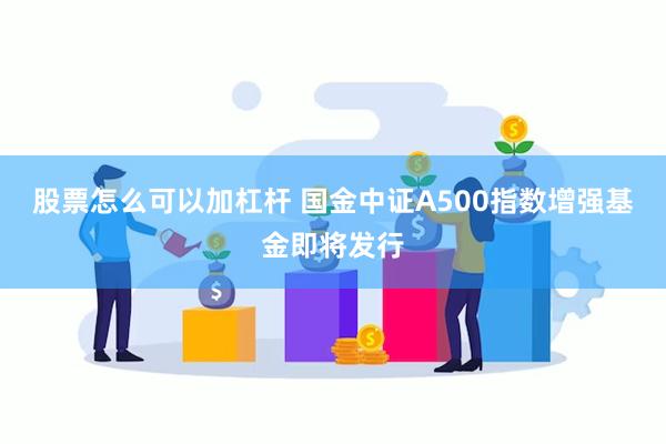 股票怎么可以加杠杆 国金中证A500指数增强基金即将发行