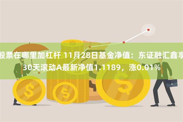 股票在哪里加杠杆 11月28日基金净值：东证融汇鑫享30天滚