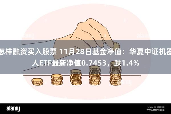 怎样融资买入股票 11月28日基金净值：华夏中证机器人ETF