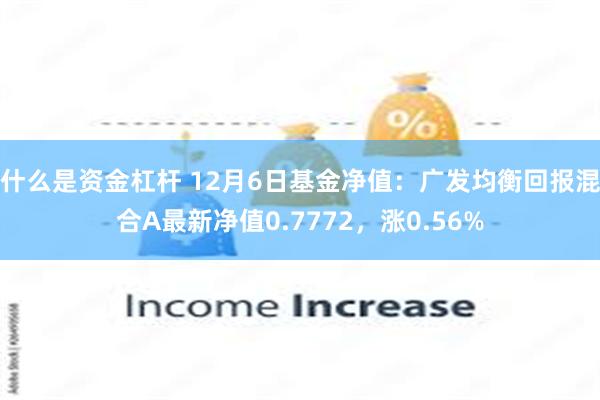 什么是资金杠杆 12月6日基金净值：广发均衡回报混合A最新净