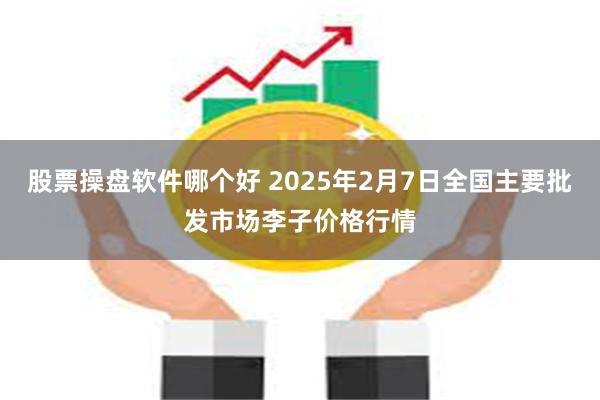 股票操盘软件哪个好 2025年2月7日全国主要批发市场李子价