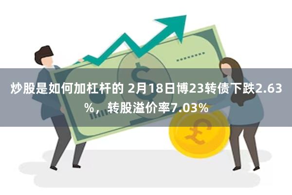 炒股是如何加杠杆的 2月18日博23转债下跌2.63%，转股