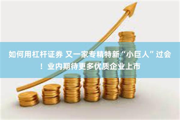 如何用杠杆证券 又一家专精特新“小巨人”过会！业内期待更多优